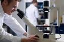 Медвежья желчь помогает восстановить сердечный ритм Медвежья желчь помогает восстановить сердечный ритм